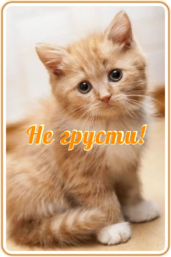 Unique stickers from photos — example 4